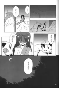 (C65) [Sumitan (Satou Kibi)] Sango-chan no Hon - Dai-san Maku (Inuyasha)