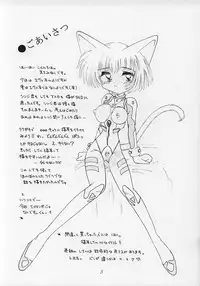 (C51) [Nekomimi Sorcery (Masamineko)] Ebaneko (Neon Genesis Evangelion)
