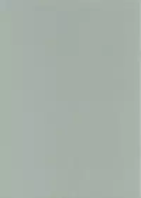 (SC19) [Power Skill (Sumihey)] Beast of East (Guilty Gear XX)