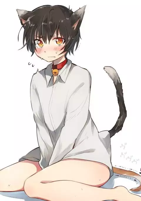 Nora Neko to Rainy Days {Shotachan}