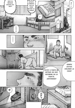 Kai Makoto Training Dog