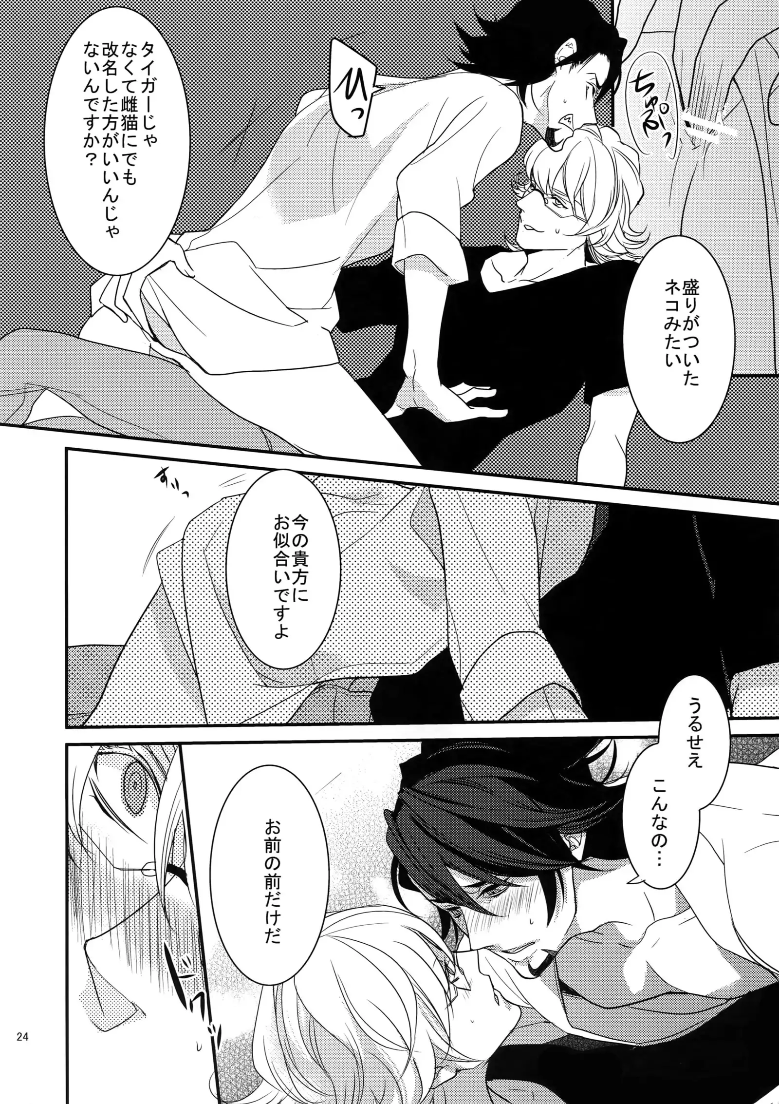 BOROZS Usagi Tora Sairoku