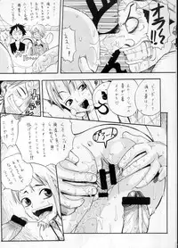 (C63) [EVOLUTION BRAND] Koki no Tane (One Piece)