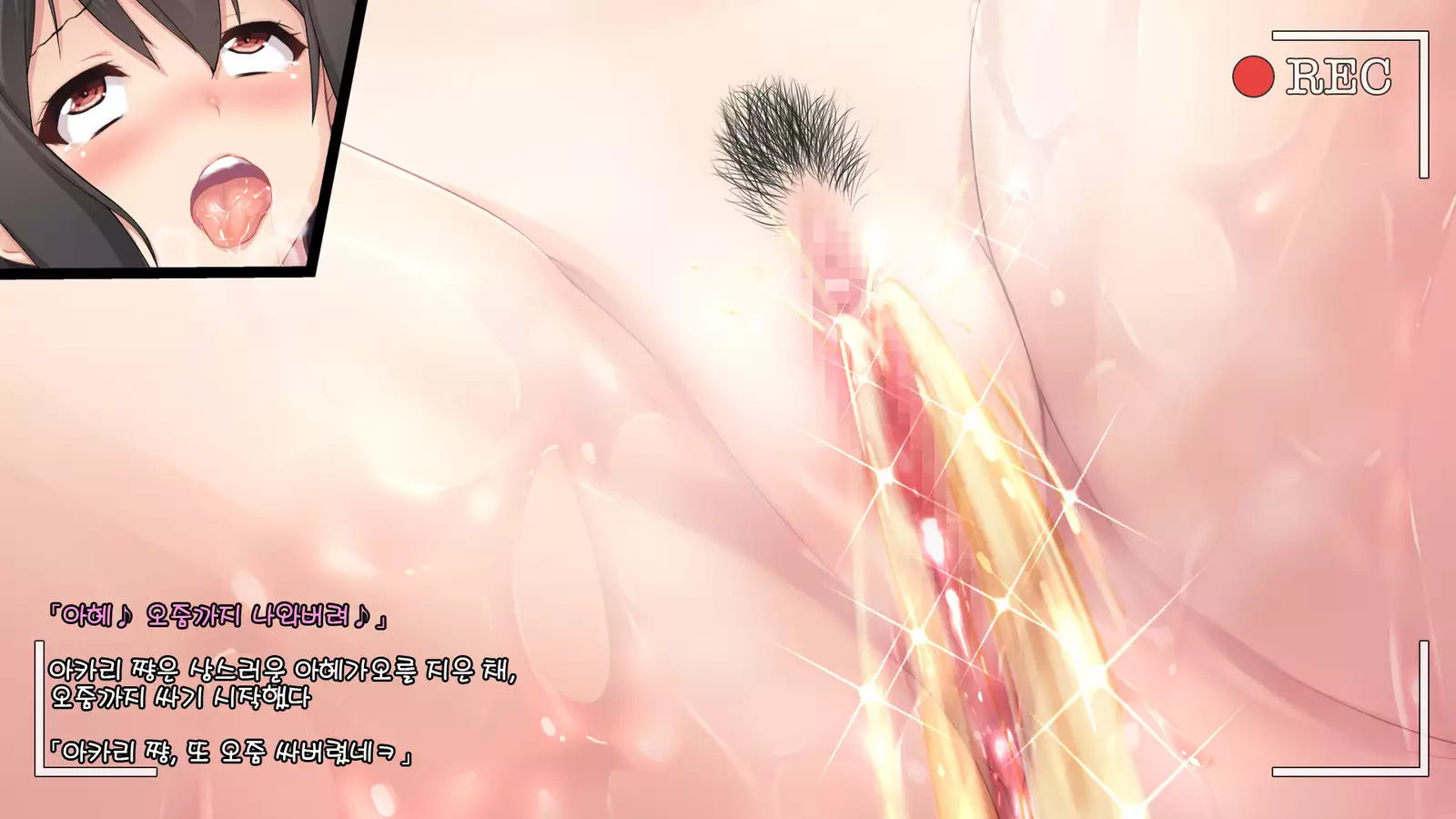 Gravure Idol Akari Himitsu no Image Video -IV hen-