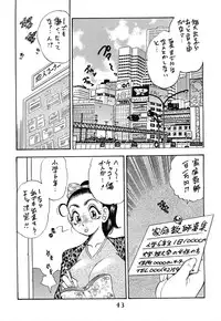 [Bijogi Junction (Bijogi Junction)] Hime Sakunyuu