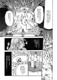 聖王妃 エルレイン(田宮秋人) Princess St