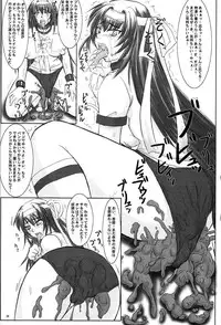 (C68) [Nozarashi (Nozarashi Satoru)] Tatakae! Kyouhime-sama!!