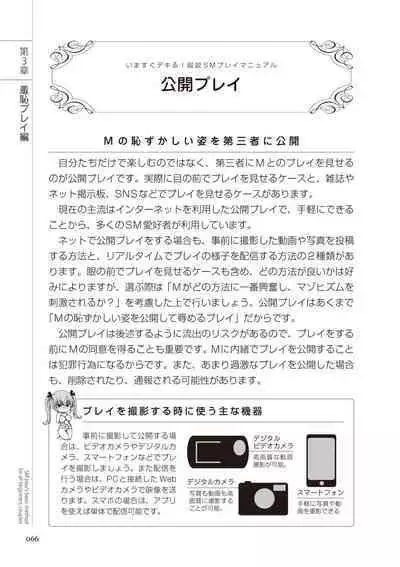 いますぐデキる 図説SMプレイマニュアル