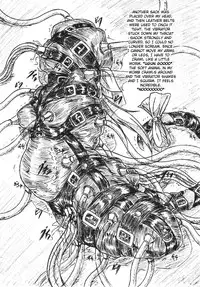 [Sumomo Dou] Bibi Anbetsu 30 [English]