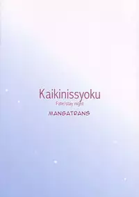 (C66) [Kaiki Nisshoku (Ayano Naoto)] Figure (Fate/Stay Night) [English]