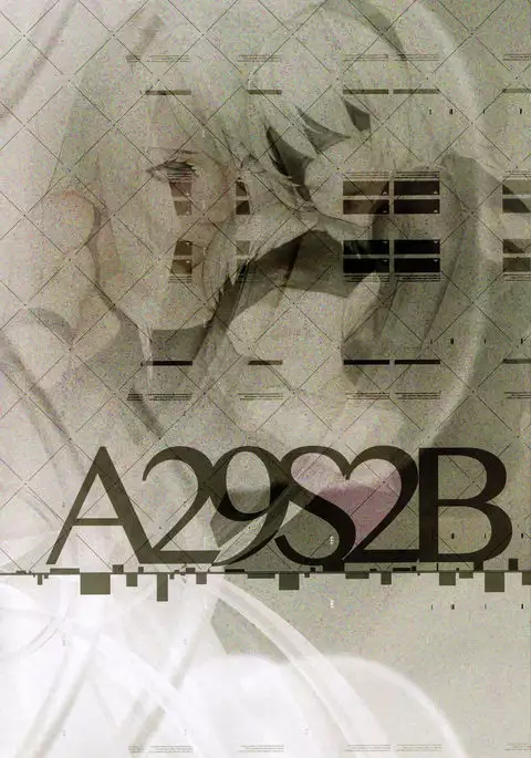A29S2B