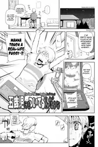 [Seihoukei] Chicchai ga Ippai! [English] [biribiri]