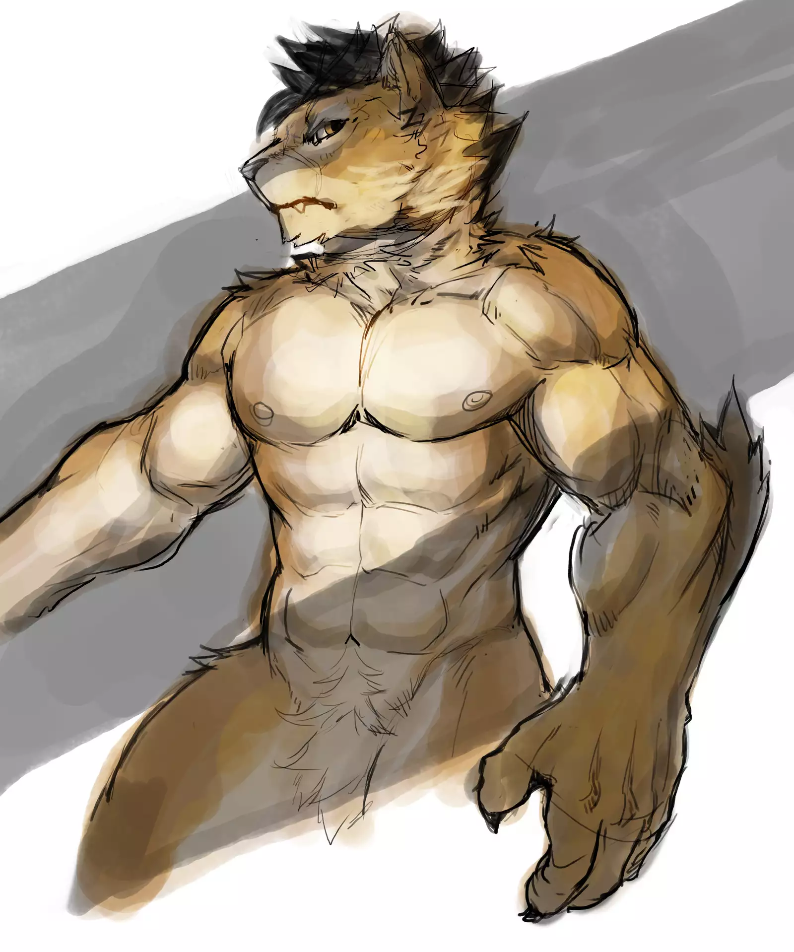 Nekojishi February 2018 Package Reward