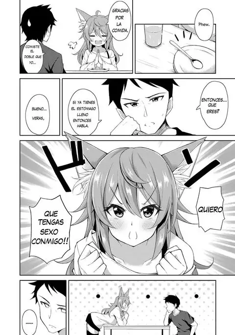 Sweet Fox | Dulce zorro