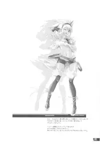 (C78) [Fujiya Honten (Thomas)] Hunter's Bible (Monster Hunter)