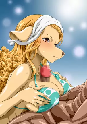 Nel-Zel Formula Yuthirasuru