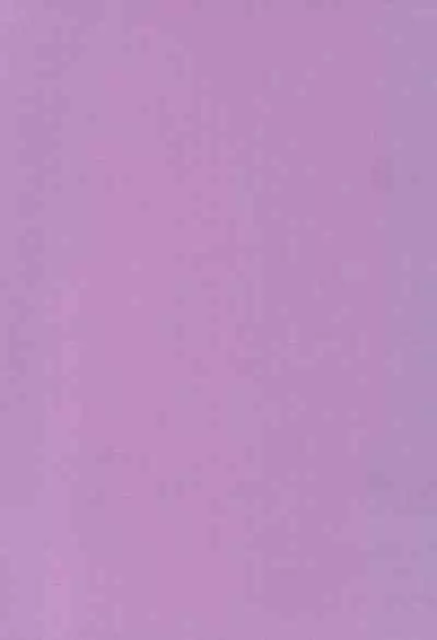 Saidaikyuu no Munasawagi