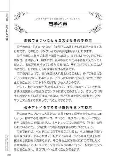 いますぐデキる 図説SMプレイマニュアル