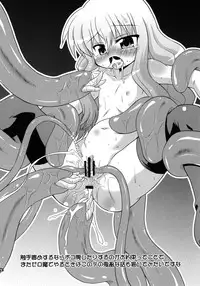 (C74) [Saihate-Kukan (Hino Hino)] FLAT REVOLUTION (Zero no Tsukaima)