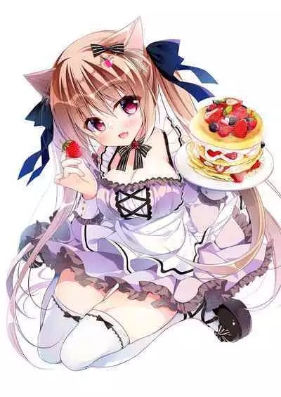 Imouto Choukyou Nikki Sairokushuu