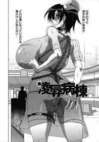 [HG Chagawa] Mesuinu no Hibi