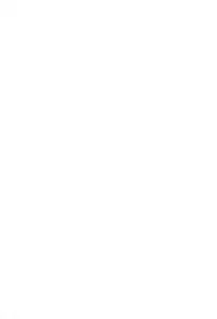 (Reitaisai 9) [hlz (Sanom)] Nezumi 50% (Touhou Project)