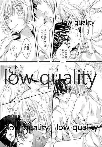 (COMIC1☆10) [cafe-hotcocoa. (Cocoa)] Haru o Koi