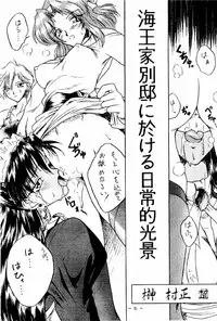 [WHITE ELEPHANT (Houshou Rei)] Meisei Sange 2 (Bishoujo Senshi Sailor Moon)