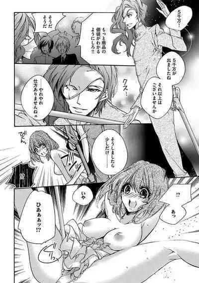 鬼畜兄弟の悶絶調教~私はいいなり奴隷~