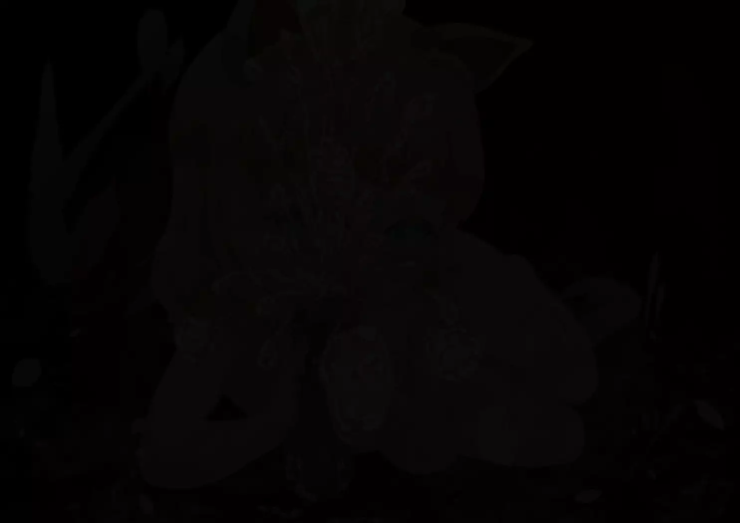 Noja Loli Kitsune Musume no Yawaraka Otete de Shiboraretai!