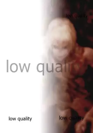 Fate/stay night イラスト集 「薄闇」