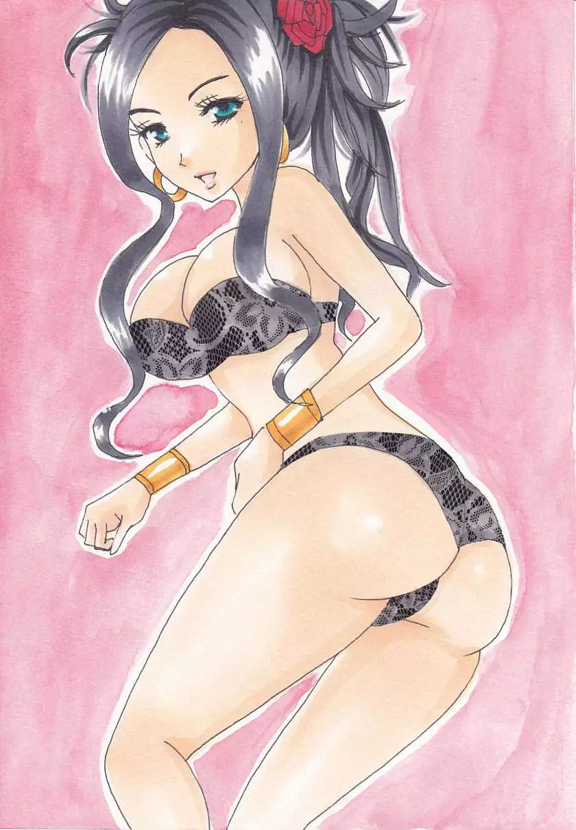 Dragon Quest V - Analog Illusts Vol.1