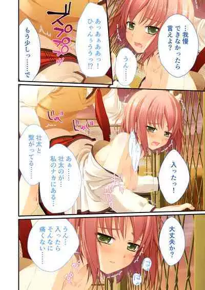 性春カルテット ~ねぇ、私じゃダメかな?~ モザイクコミック総集編