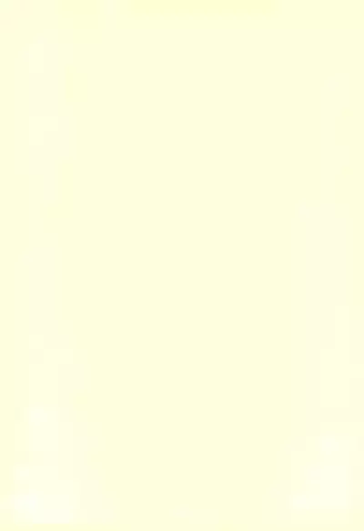 [DropwortBell (Suzushiro Seri)] Mahou Shoujo Organic Cotton REBOOT