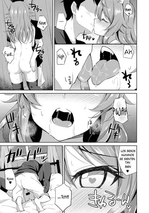 Sweet Fox | Dulce zorro