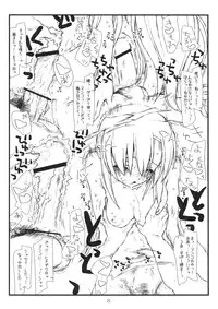 (SC40) [bolze. (rit.)] Hinagiku no Saezuri (Hayate no Gotoku!)