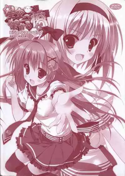 Hoshizora e Kakaru Hash visual fanbook