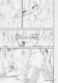 (C70) [EINSATZ GRUPPE (Charlie Nishinaka)] PRISONER 8 Miserable Birds (Gundam SEED DESTINY)