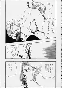 (C49) [Chirigami Goya / Fusuma Goten] Z (Dragonball)