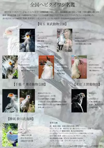 may Kemono Friends Thre Goudoushi 2