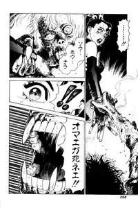 [Yamamoto Atsuji] CHAO