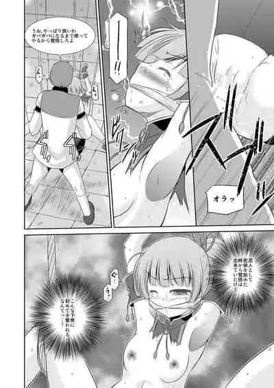 Koyuzu no Chousa Shippai Houkokusho