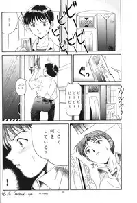 (CR19) [Chimatsuriya Honpo (Various)] Apocrypha (Neon Genesis Evangelion)