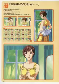 Super Real Mahjong Visual Fan Book Perfect Collection