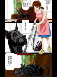 [Bonjin-do] “Wonderful Life” ~Shufu to “Aiken” no Hisoyaka na Gogo~[chinese] [翠星石汉化]