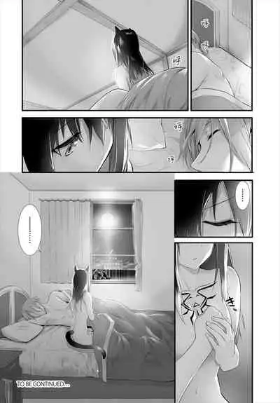 [Kyougoku Touya] Orokamono wa Nekomimi Dorei ni Izon suru ~Hajimete no Choukyou Seikatsu~ 11 [Chinese][大鸟可不敢乱转汉化][Digital]