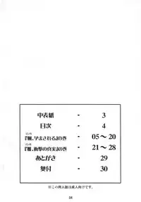 (SC31) [Mouko Mouretsu Hasai Dan (Ryumage)] Ninshin Shinobu Densetsu (2x2 = Shinobuden)