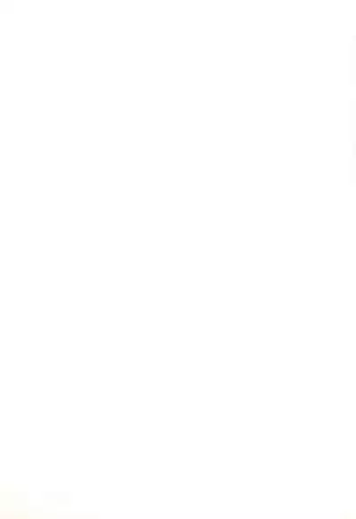 CAPCOM CONSUMER COLLECTION