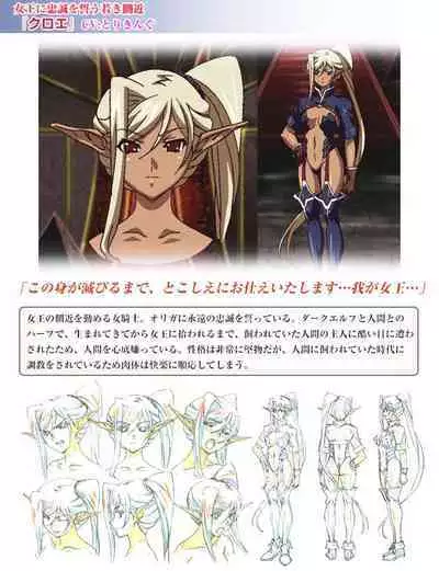 Kuroinu a1c Sketches Covers and Media