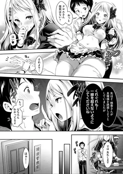 Harem Maid No Damedame Ecchi
